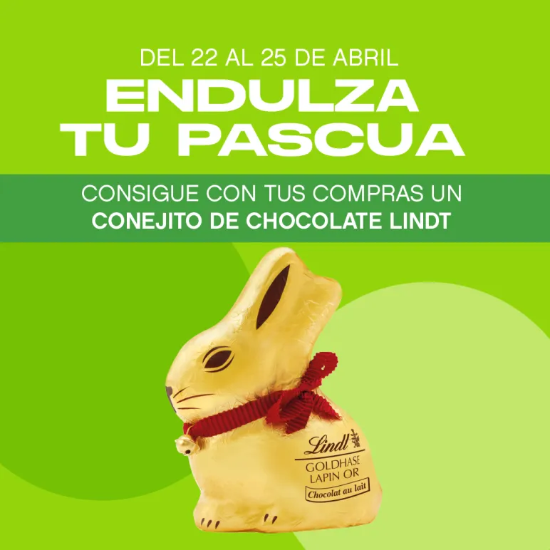 conejo chocolate